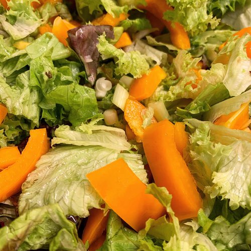 Abnehmtipps - Fleisch-Spieße mit Salat und Joghurt-Ingwer-Dessing