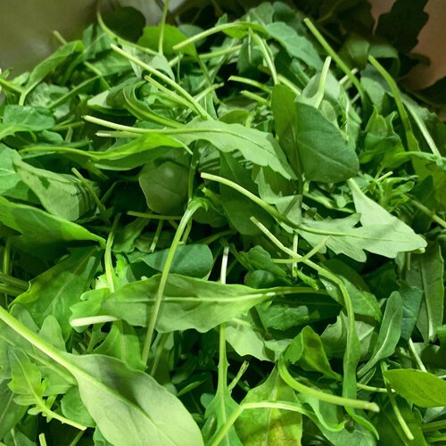 Abnehmtricks - Proteine im Linsensalat mit Roter Bete und Rucola