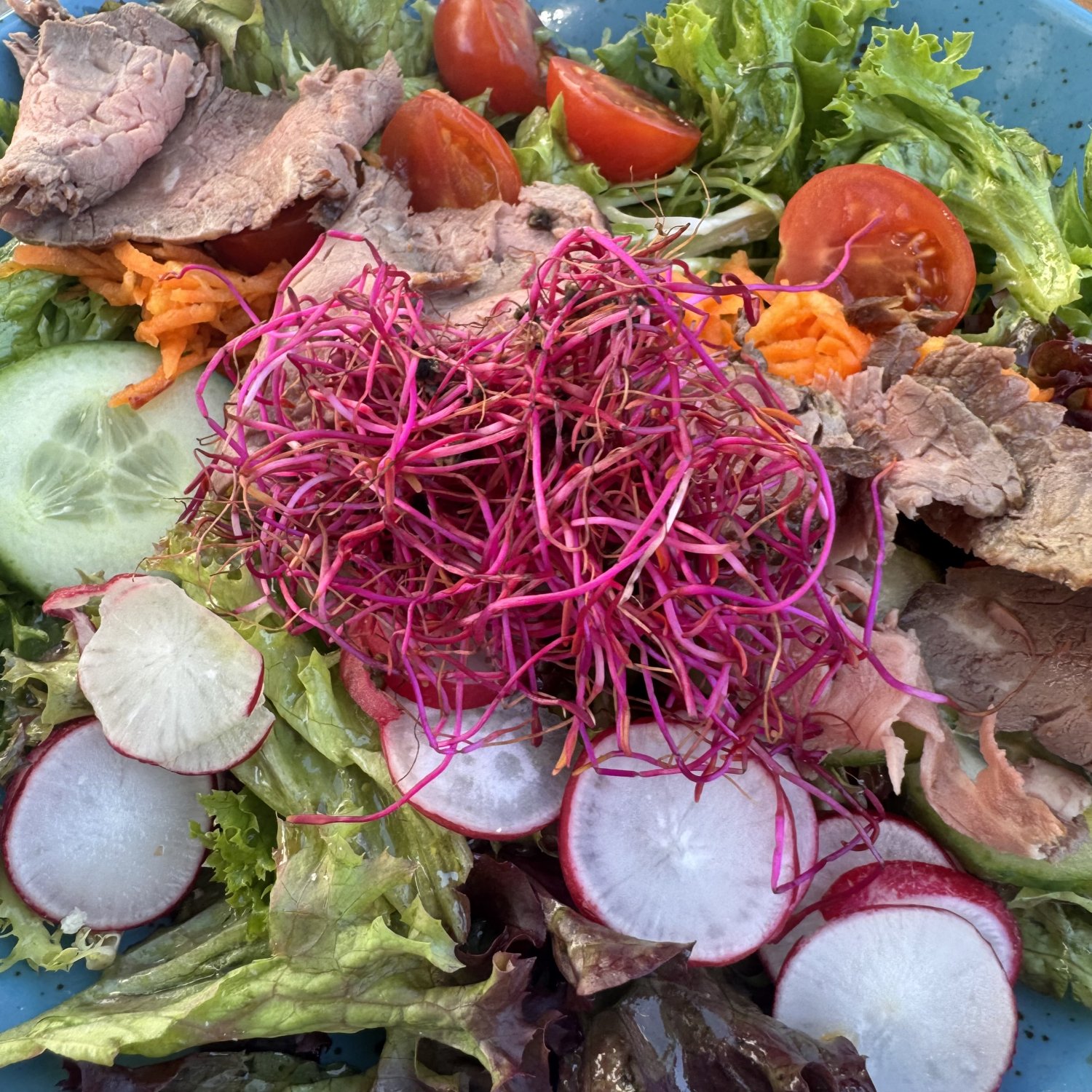 Rezept: Roastbeef Salat mit buntem Gemüse